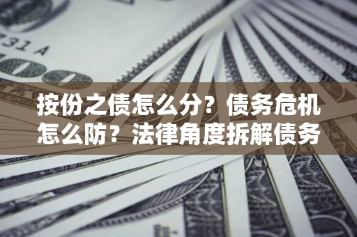 武汉按份之债怎么分？债务危机怎么防？法律角度拆解债务分配与风险自保指南