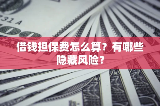 武汉借钱担保费怎么算？有哪些隐藏风险？