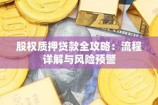 武汉股权质押贷款全攻略：流程详解与风险预警
