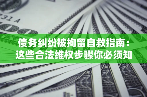 武汉债务纠纷被拘留自救指南：这些合法维权步骤你必须知道！