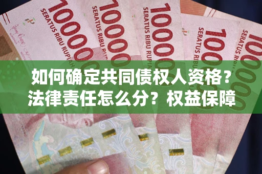 武汉如何确定共同债权人资格？法律责任怎么分？权益保障技巧揭秘！