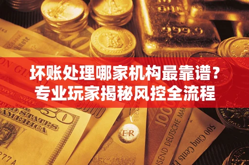 武汉坏账处理哪家机构最靠谱？专业玩家揭秘风控全流程