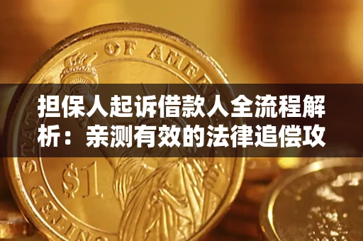 武汉担保人起诉借款人全流程解析：亲测有效的法律追偿攻略