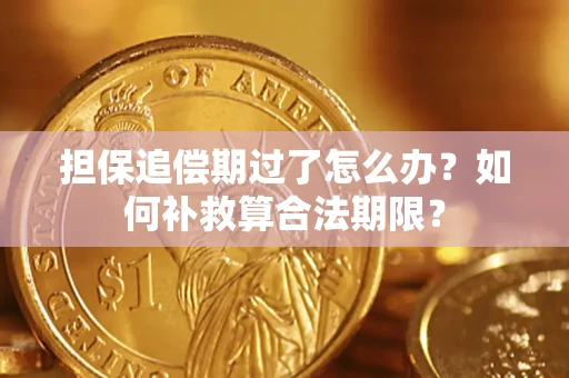 武汉担保追偿期过了怎么办？如何补救算合法期限？