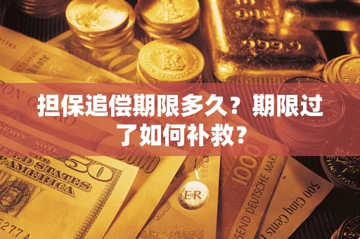 武汉担保追偿期限多久？期限过了如何补救？