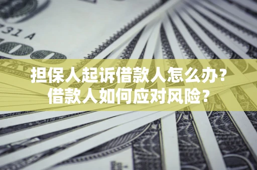 武汉担保人起诉借款人怎么办？借款人如何应对风险？