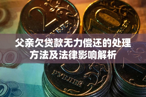 武汉父亲欠贷款无力偿还的处理方法及法律影响解析