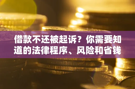 武汉借款不还被起诉？你需要知道的法律程序、风险和省钱技巧